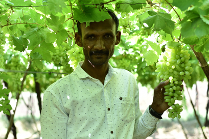 Orchid Crop Science